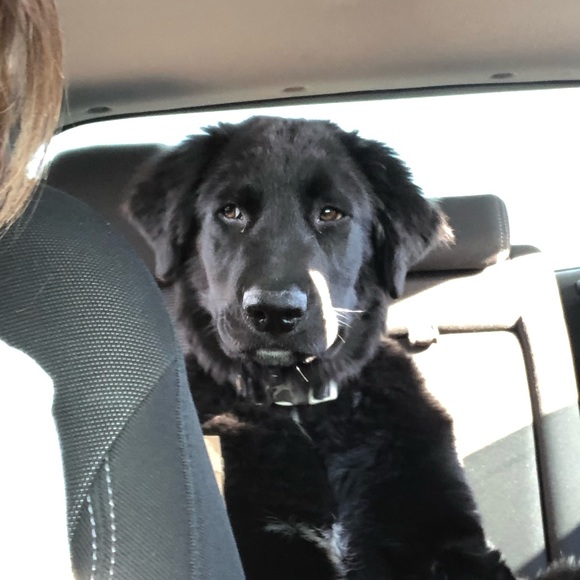 Meet your Posher, Jaclyn - Picture 1 of 1